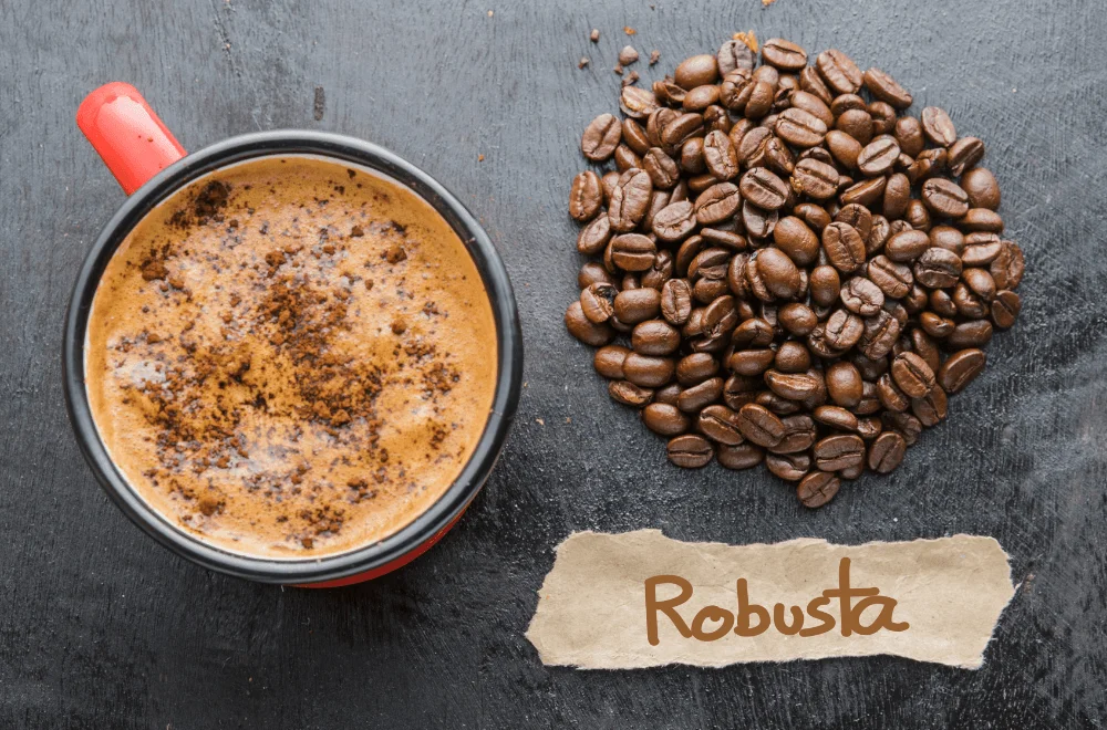 Gu đậm đà truyền thống với Robusta